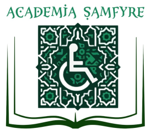 Academia Samfyre